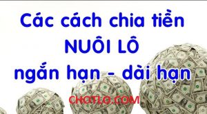 Kinh nghiệm chia tiền nuôi lô đơn giản cho ngắn hạn và dài hạn chotlo.com