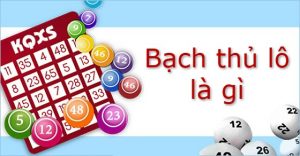 Bạch thủ lô là gì