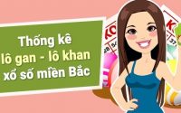 Lô gan cực đại miền Bắc là gì