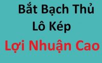 Cách bắt bạch thủ lô kép