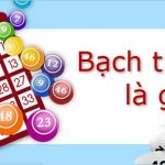 Bạch thủ lô là gì